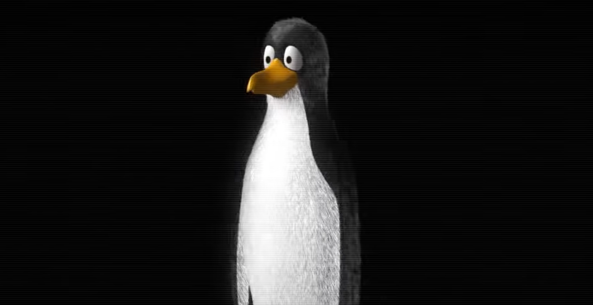 Showreel: How to make a Pinguin?